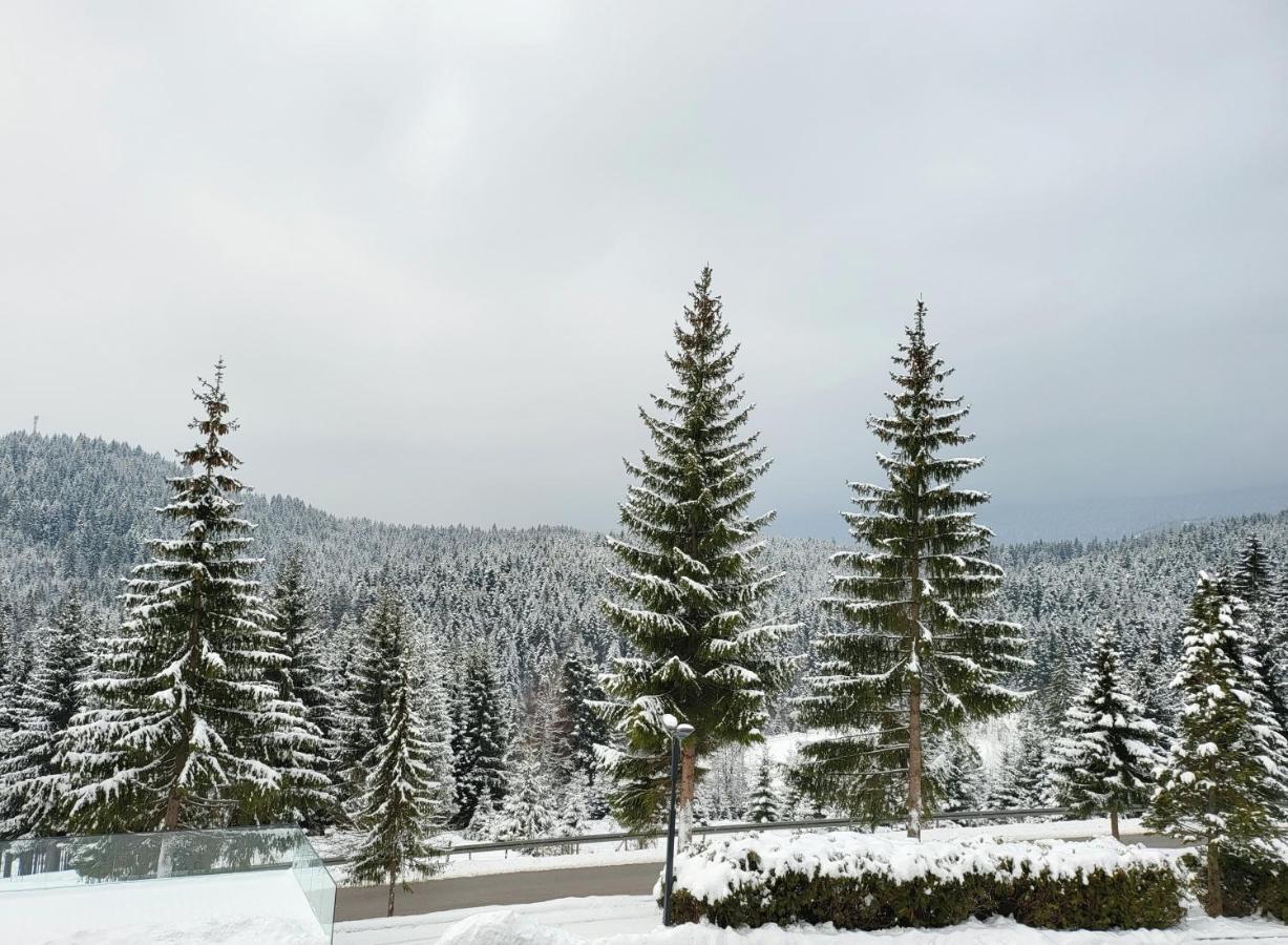 Hotel Forest Pale Dış mekan fotoğraf